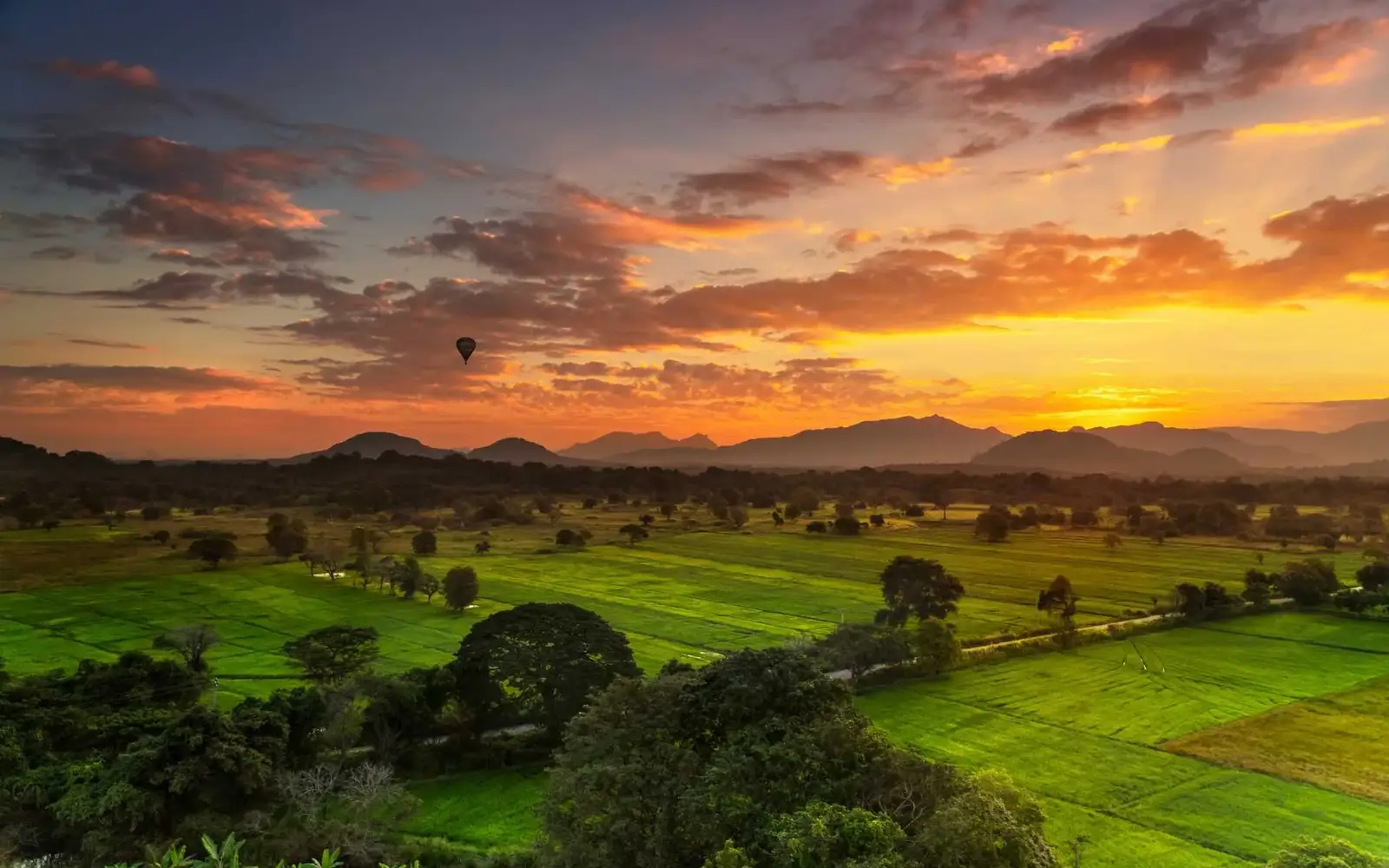 Nature’s Canvas: Highlands & Shore